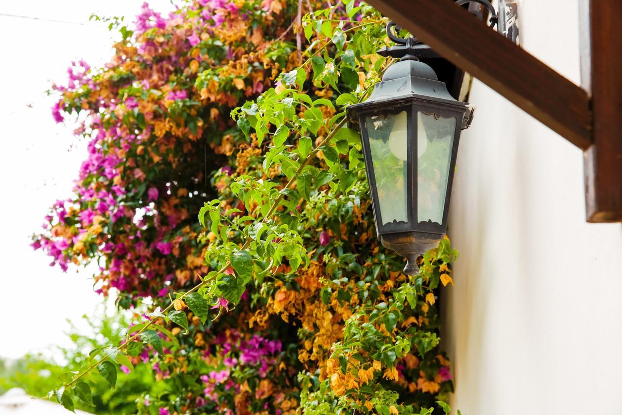 Bed & Breakfast Santa Fara Bari Exterior foto